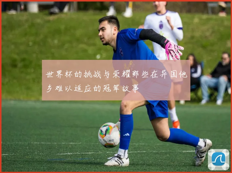 世界杯的挑战与荣耀那些在异国他乡难以适应的冠军故事